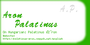 aron palatinus business card